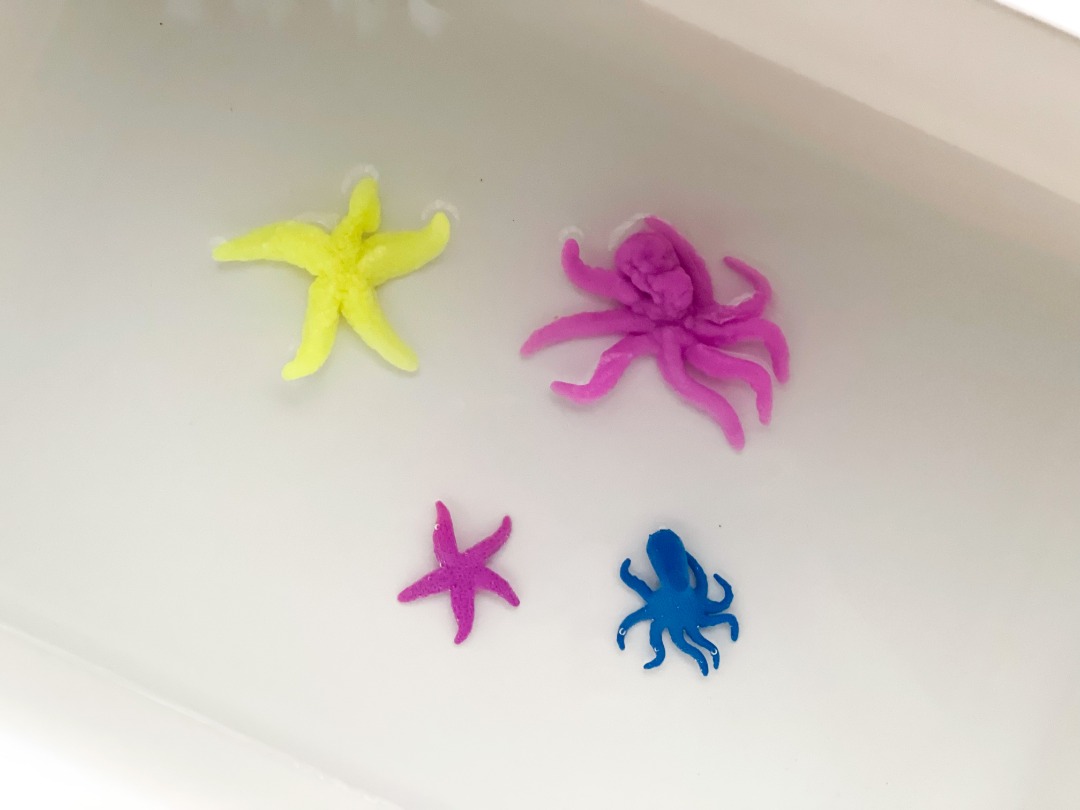 WhatsApp Image 2021-09-28 at 10.18.25 PM