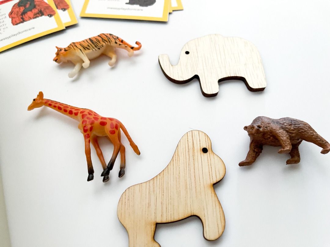 WhatsApp Image 2021-09-28 at 10.18.40 PM (6)